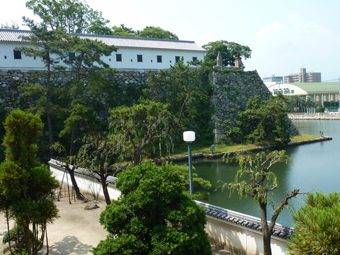 P1000710.JPG