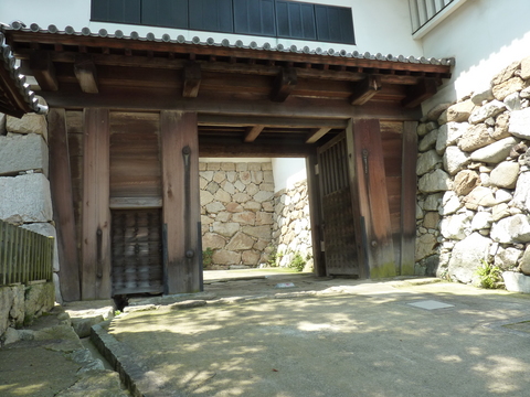 P1000733.JPG